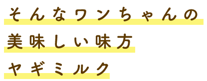 そんなワンちゃんの美味しい味方