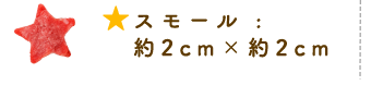 ラージ :  約4cm×約4cm スモール :  約2cm×約2cm