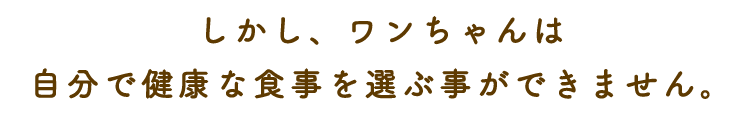 自分で健康な食事