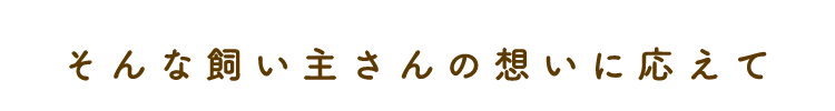 せっかくなら