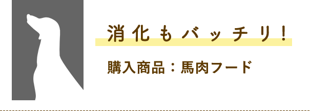 消化もバッチリ!