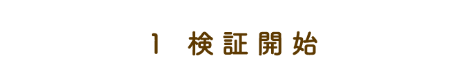 検証開始