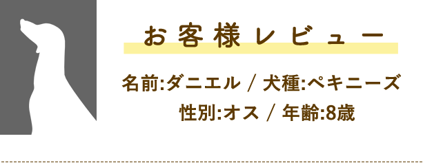 お客様レビュー!