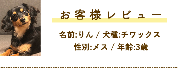 お客様レビュー!