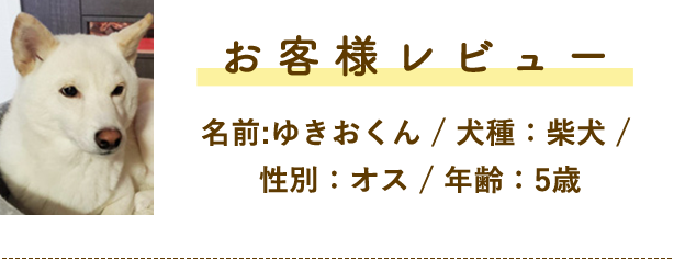 お客様レビュー!