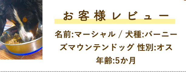 お客様レビュー!