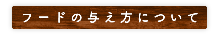 フードの与え方について