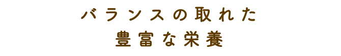 バランスの取れた豊富な栄養