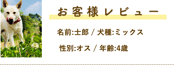 お客様レビュー