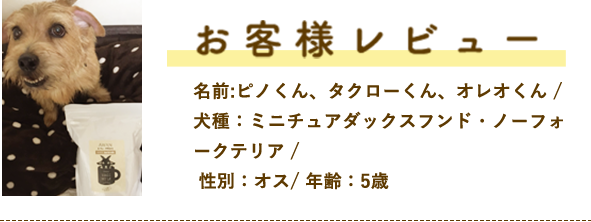 お客様レビュー