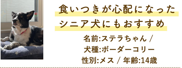 シニア犬にもおすすめ