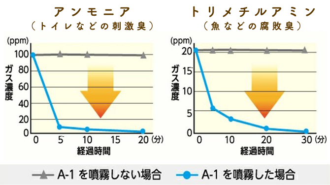 試験結果