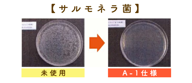 白癬菌